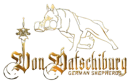 GSD Kennel